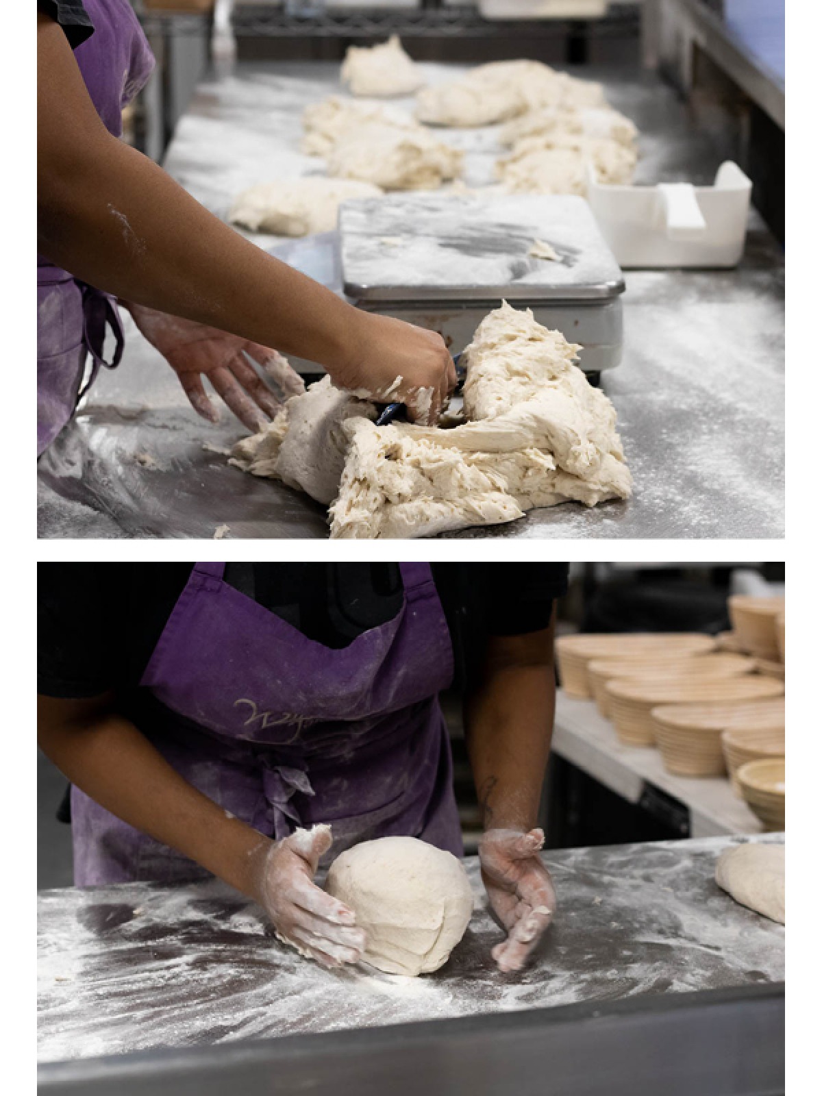 Meet the Foodie Wildcraft Bakery Living North